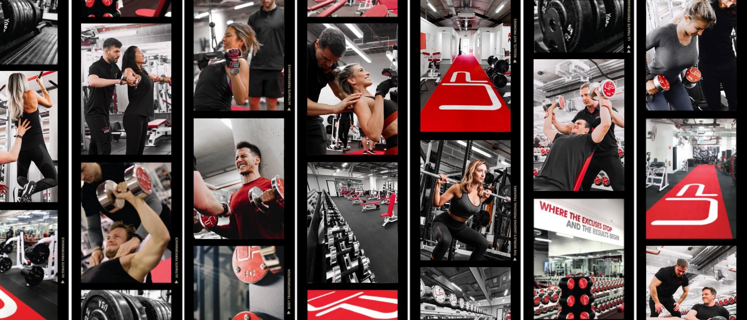  | Ultimate Performance