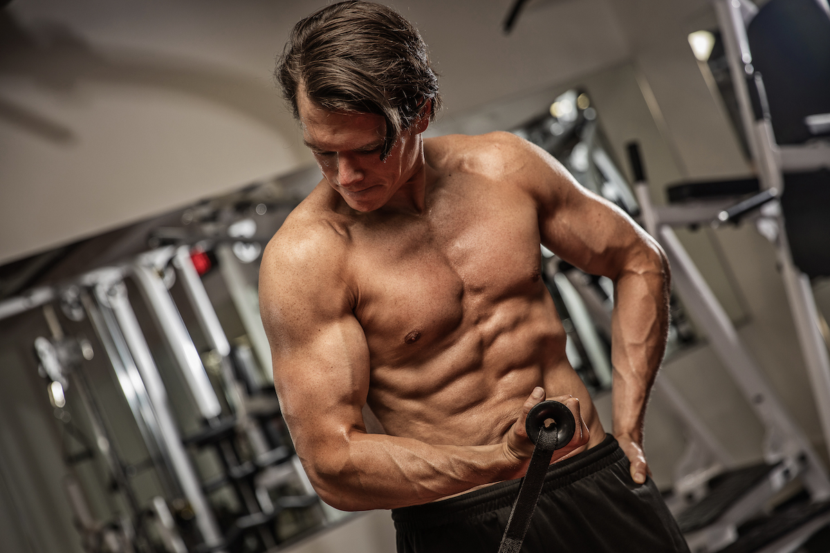 Dan Ultimate Performance Mayfair Biceps | Ultimate Performance | Ultimate Performance