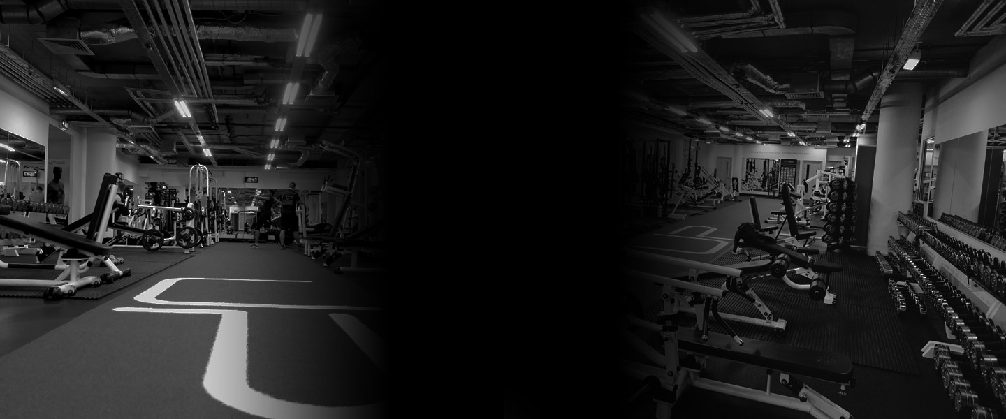  | Ultimate Performance