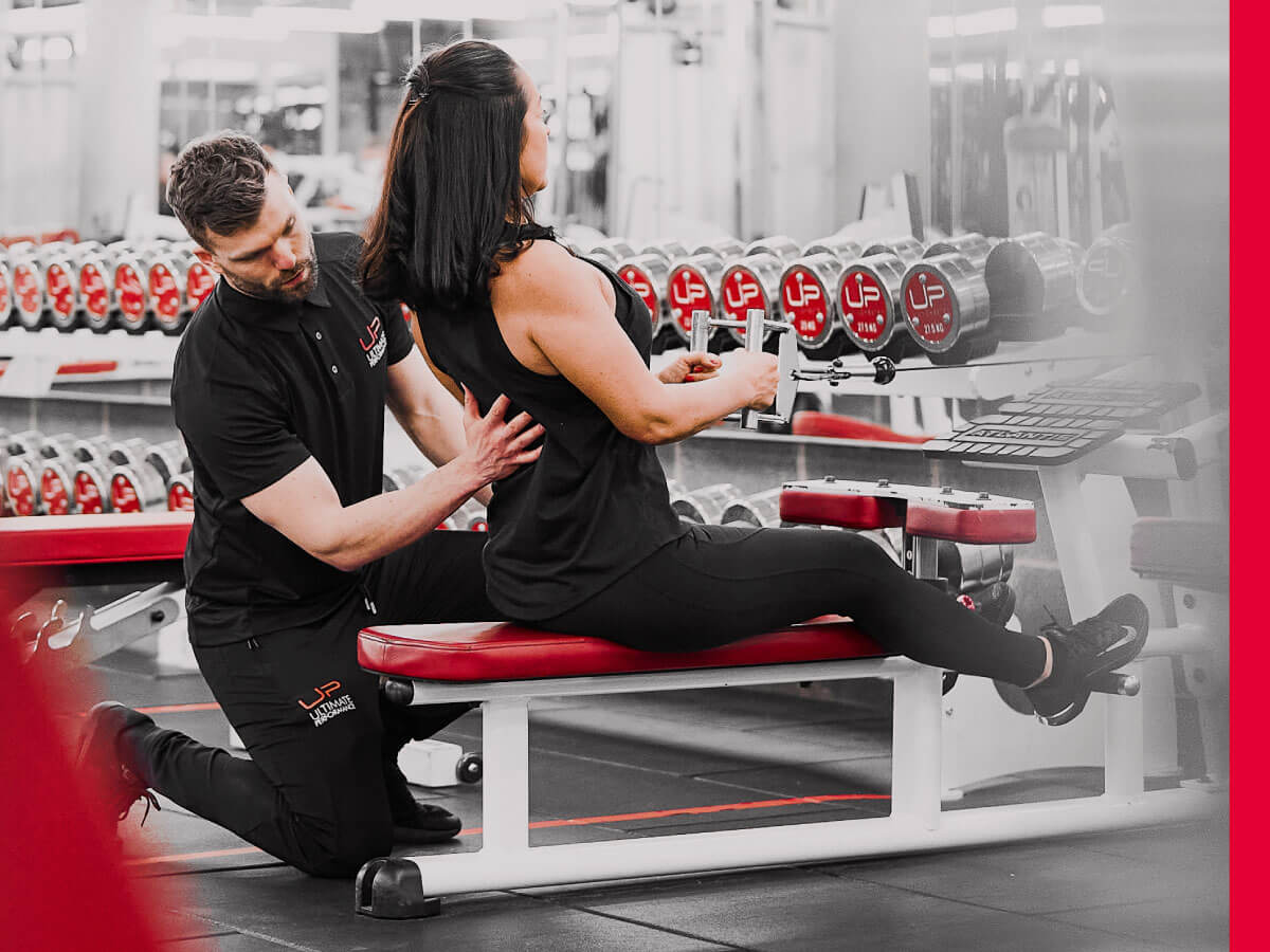  | Ultimate Performance