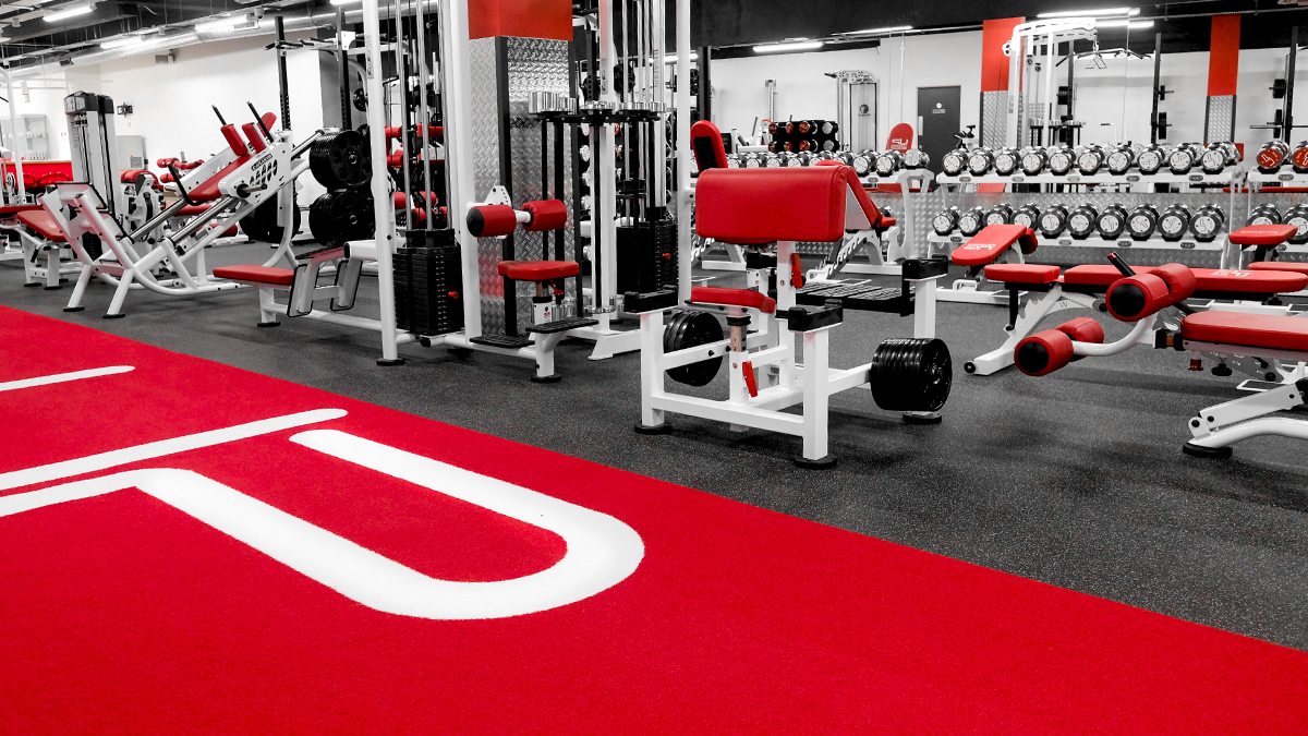  | Ultimate Performance