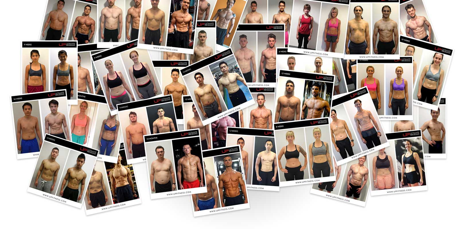 | Ultimate Performance Ultimate Performance Client Transformations | Ultimate Performance