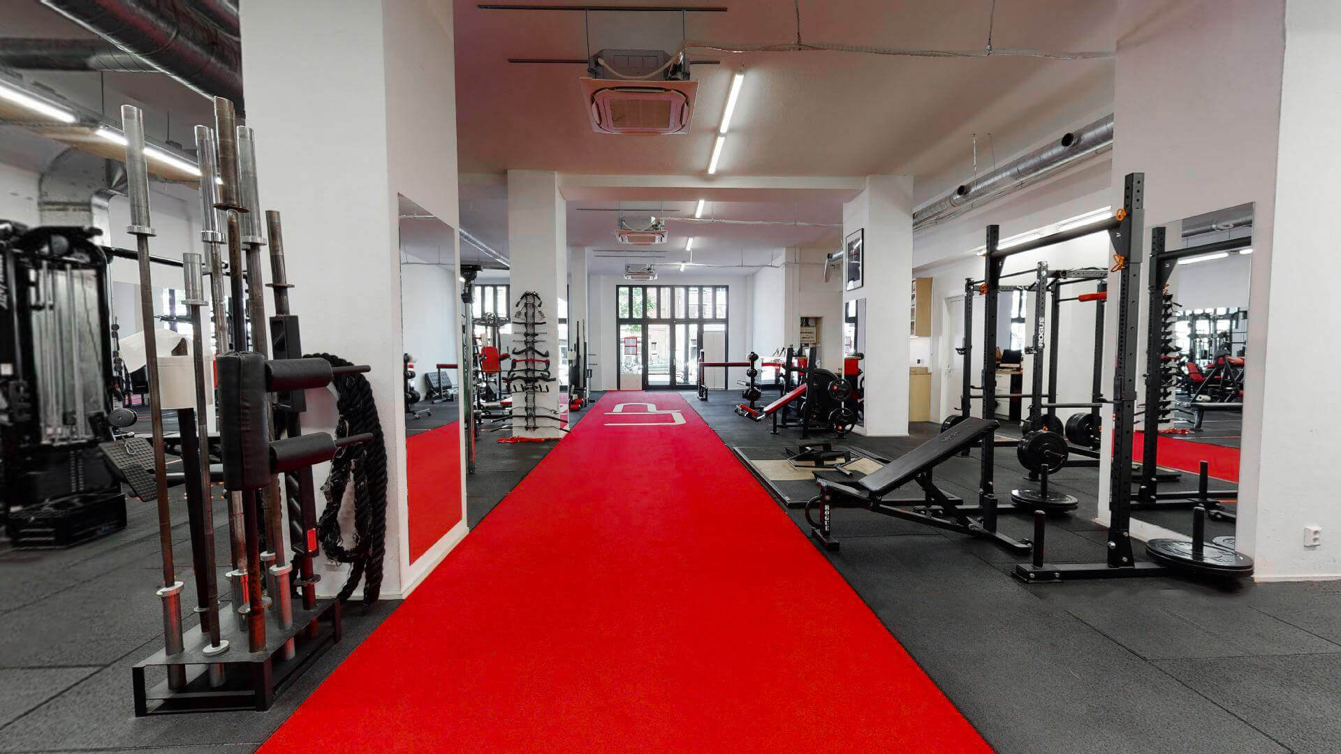  | Ultimate Performance