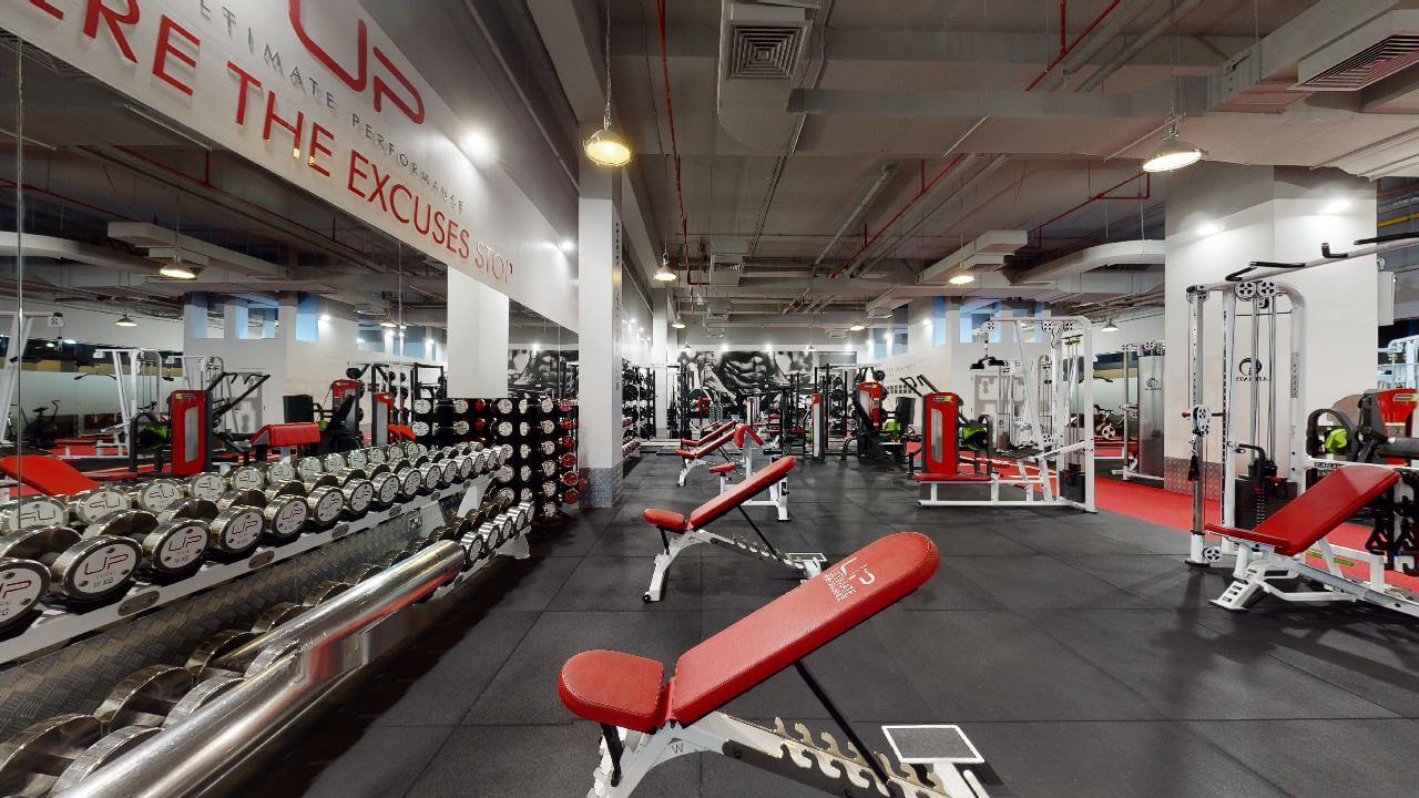  | Ultimate Performance