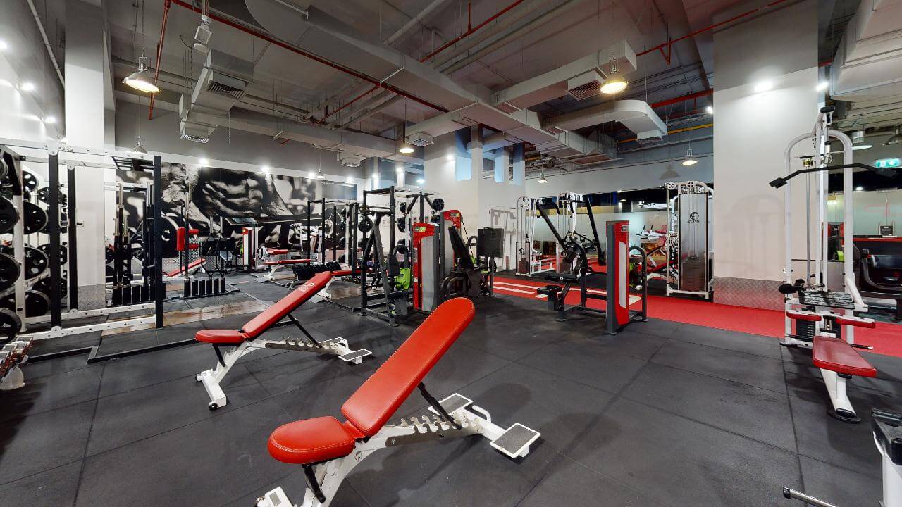  | Ultimate Performance