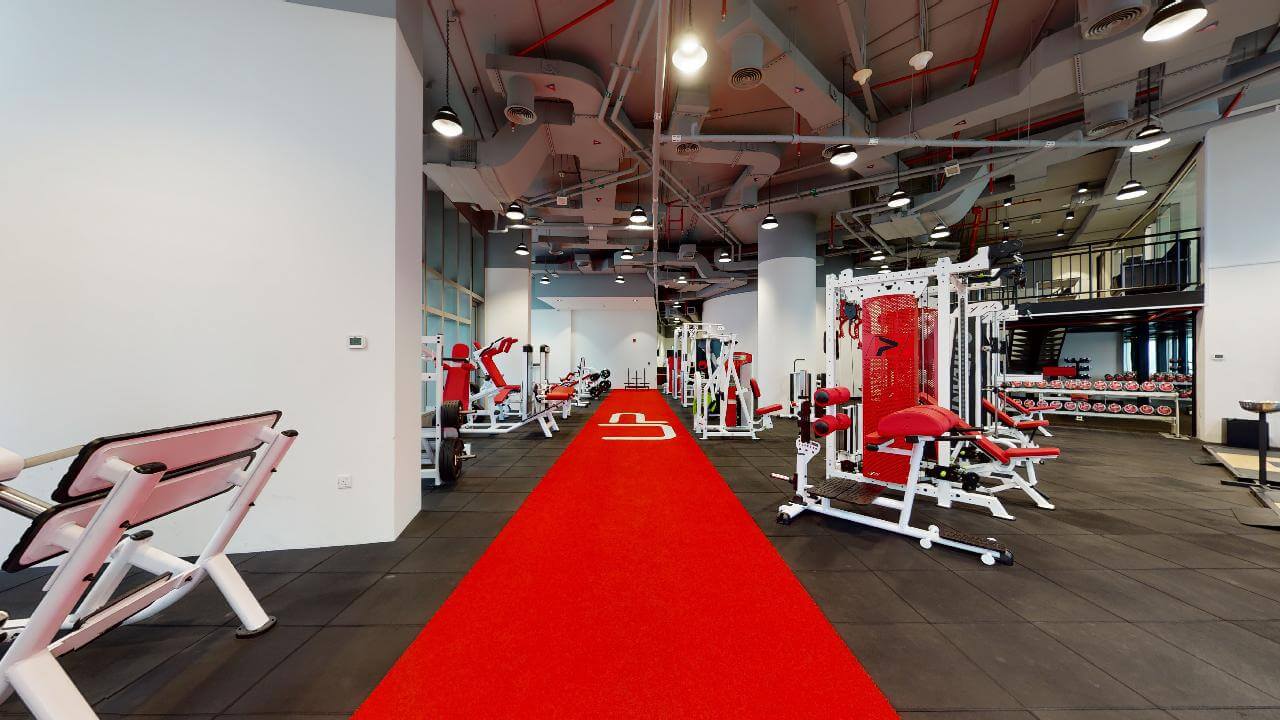  | Ultimate Performance