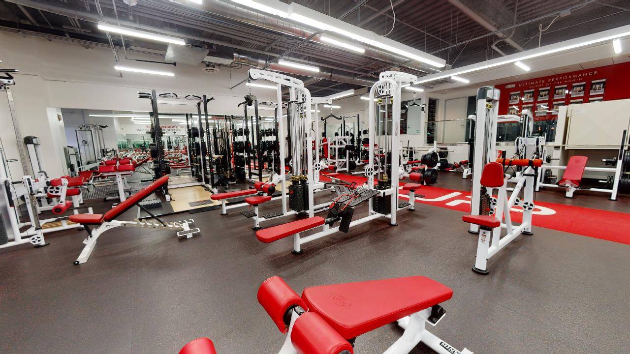  | Ultimate Performance