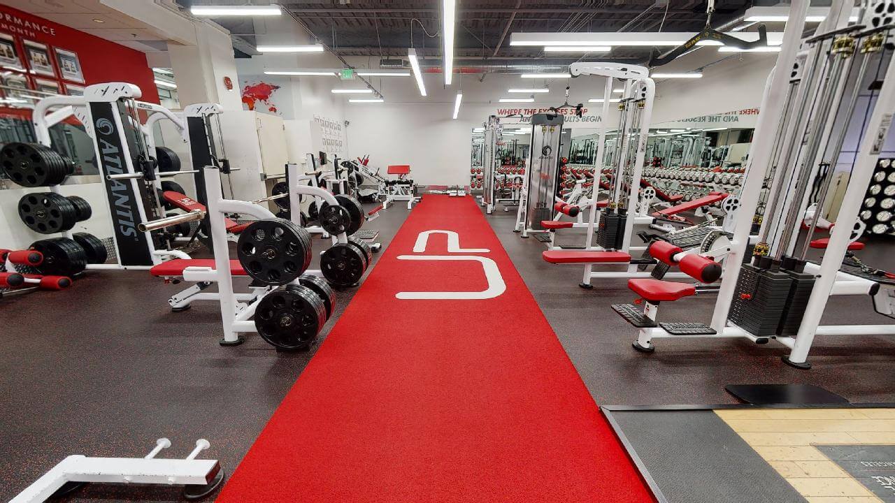  | Ultimate Performance