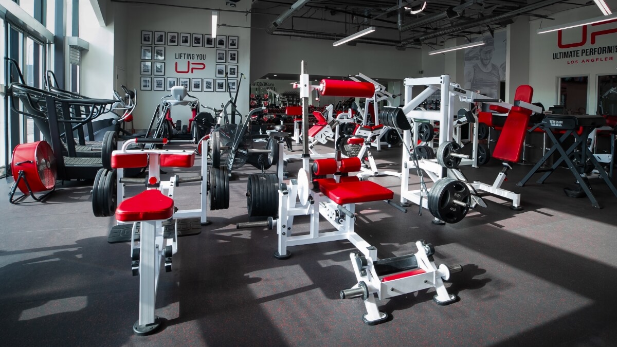  | Ultimate Performance