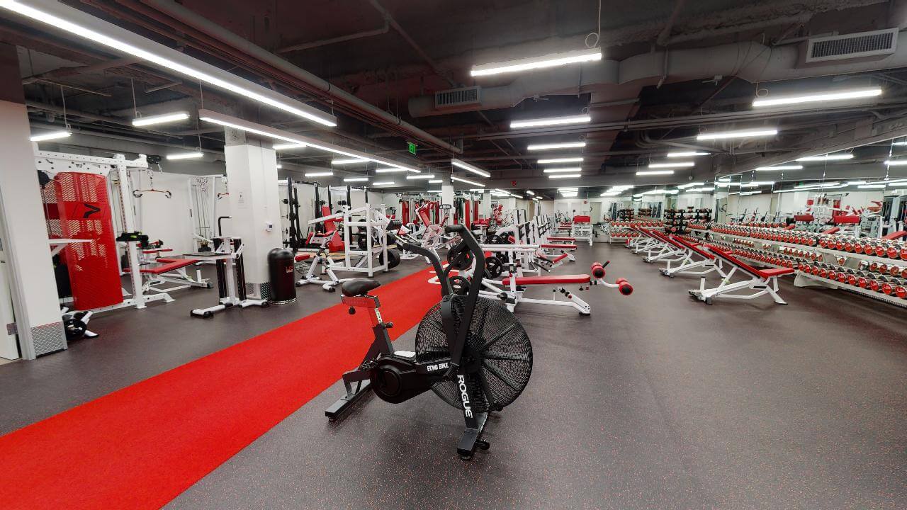  | Ultimate Performance