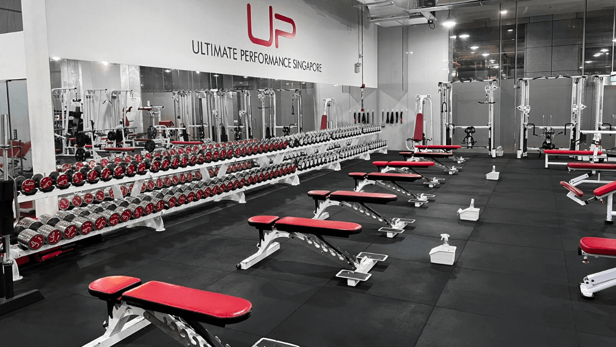  | Ultimate Performance